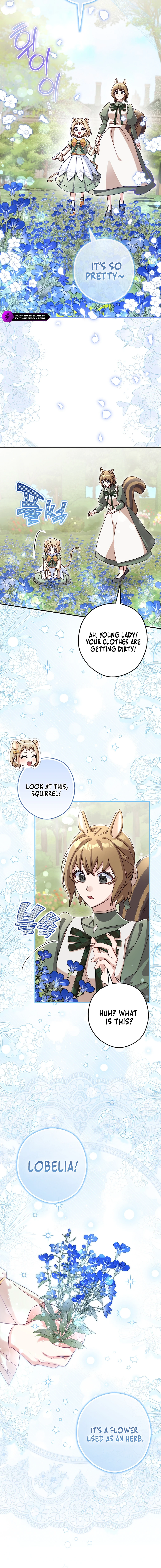 Cinderella's Pocket-Sized Protector Chapter 13 page 11