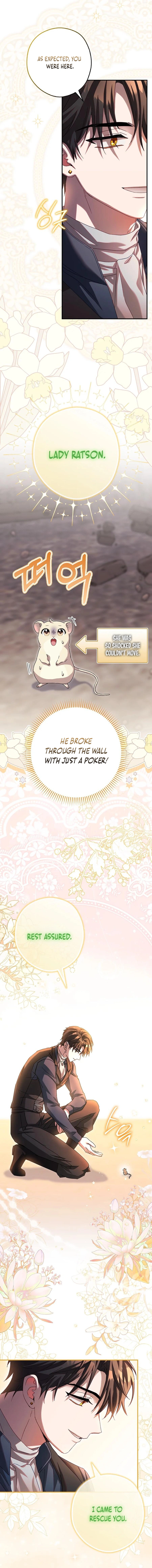 Cinderella's Pocket-Sized Protector Chapter 4 page 12