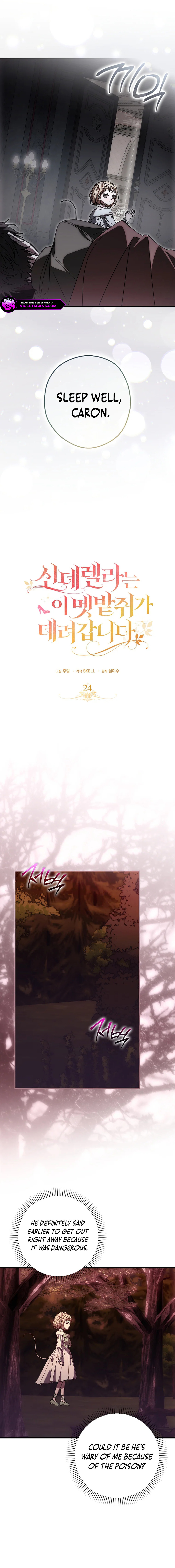 Cinderella's Pocket-Sized Protector Chapter 24 page 3