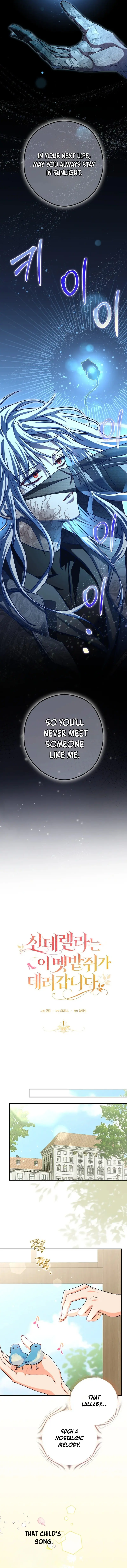 Cinderella's Pocket-Sized Protector Chapter 1 page 10
