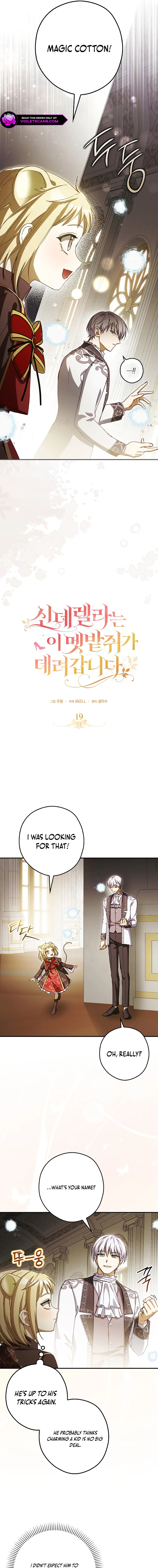 Cinderella's Pocket-Sized Protector Chapter 19 page 4
