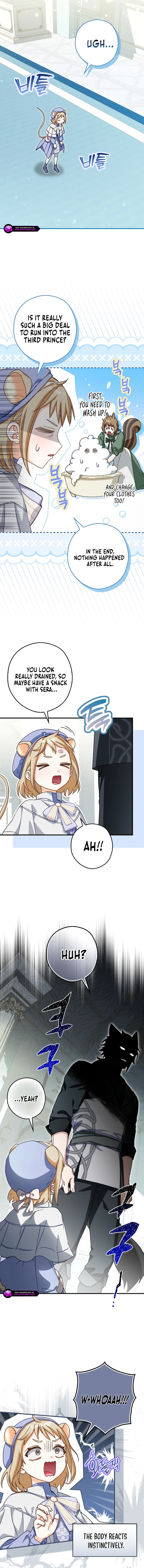 Cinderella's Pocket-Sized Protector Chapter 14 page 7