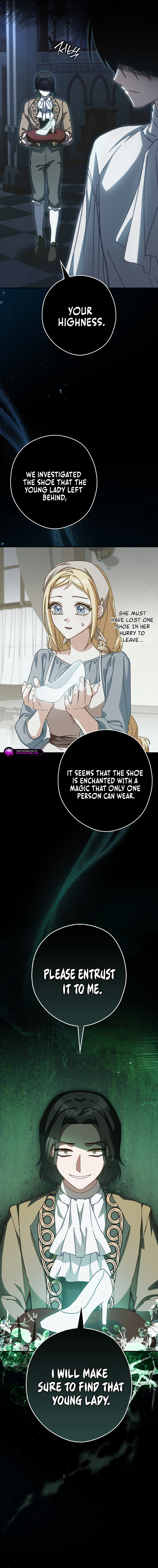 Cinderella's Pocket-Sized Protector Chapter 14 page 11
