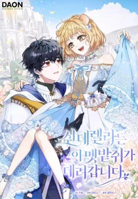 Cinderella's Pocket-Sized Protector cover