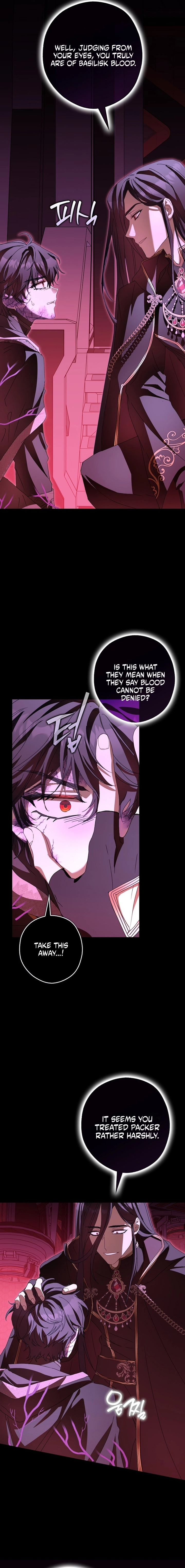 Cinderella's Pocket-Sized Protector Chapter 47 page 9