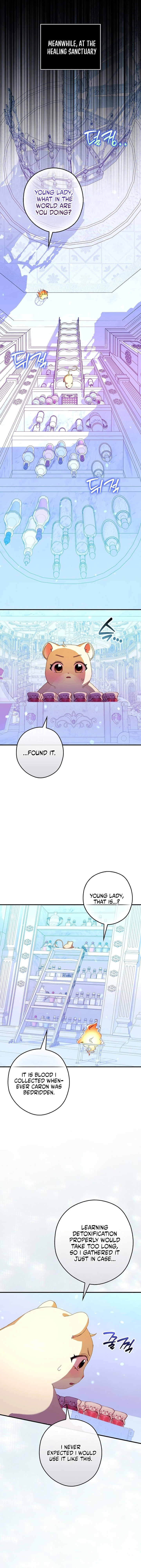 Cinderella's Pocket-Sized Protector Chapter 47 page 13