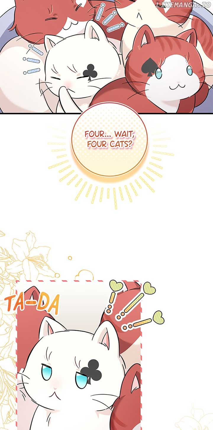 Baby Pharmacist Princess Chapter 45 page 62