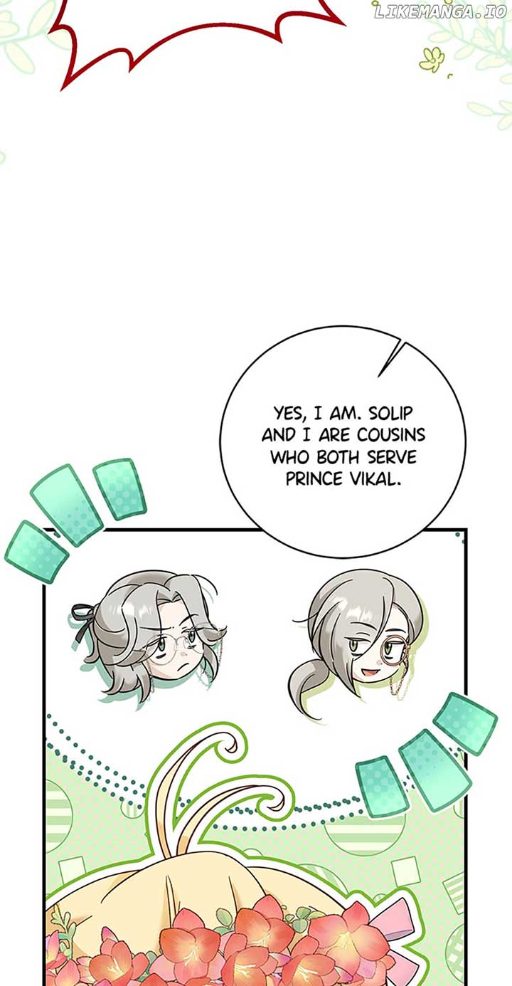 Baby Pharmacist Princess Chapter 37 page 30