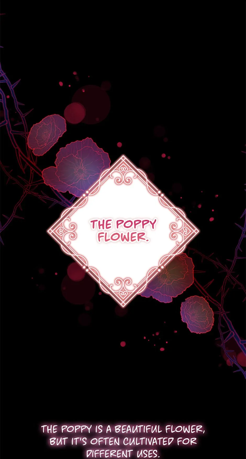 Baby Pharmacist Princess Chapter 20 page 66