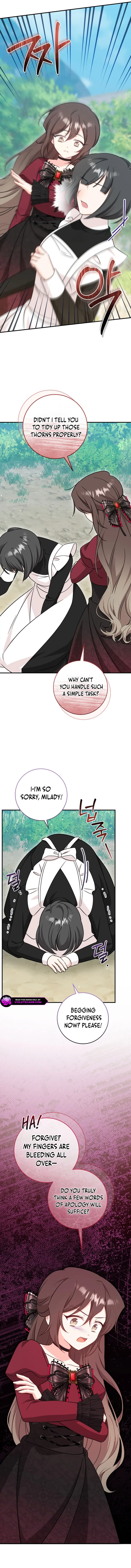 Baby Pharmacist Princess Chapter 79 page 3