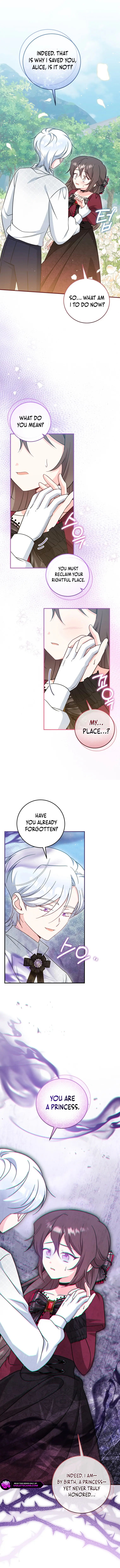 Baby Pharmacist Princess Chapter 79 page 7