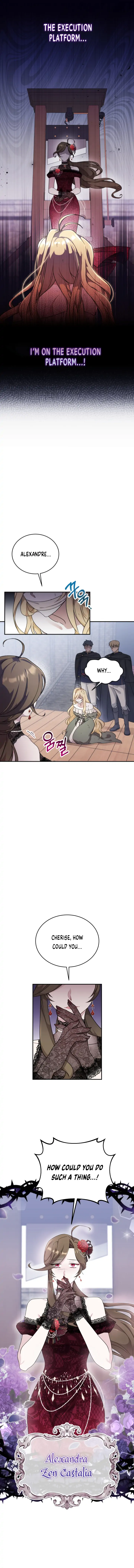 Baby Pharmacist Princess Chapter 1 page 2