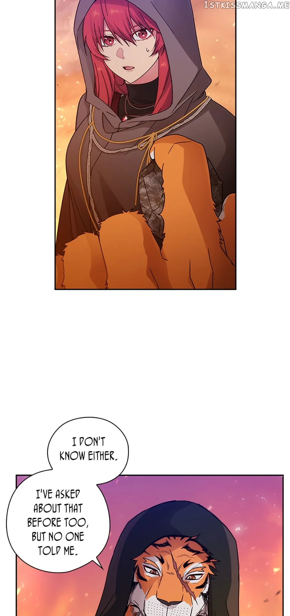 Adonis Chapter 237 page 15