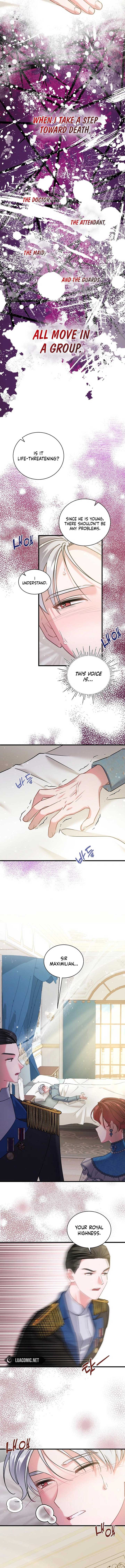He's Definitely My Son! Chapter 72 page 8