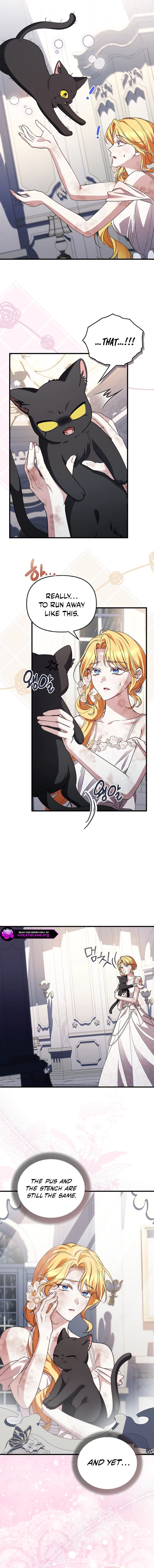 The Countess Makes a Comeback Chapter 36 page 14