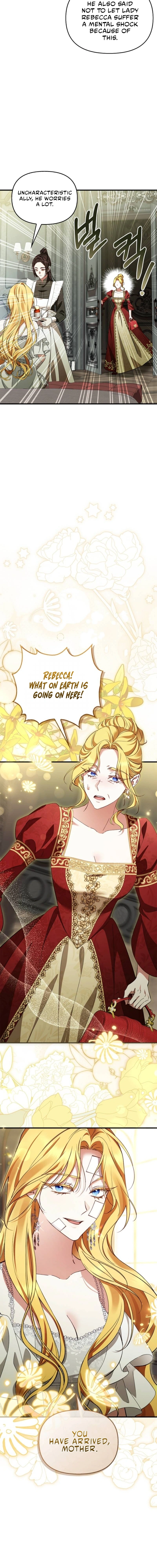 The Countess Makes a Comeback Chapter 14 page 17