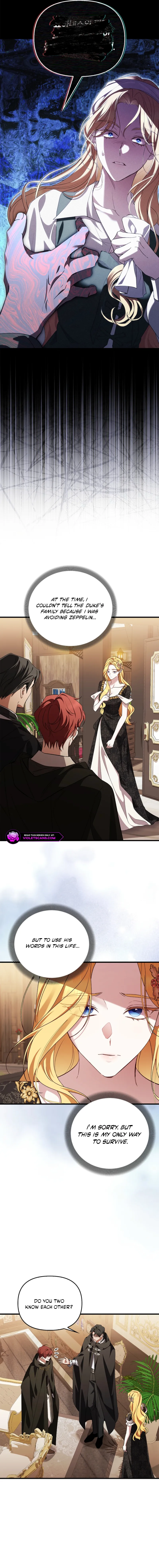 The Countess Makes a Comeback Chapter 12 page 17