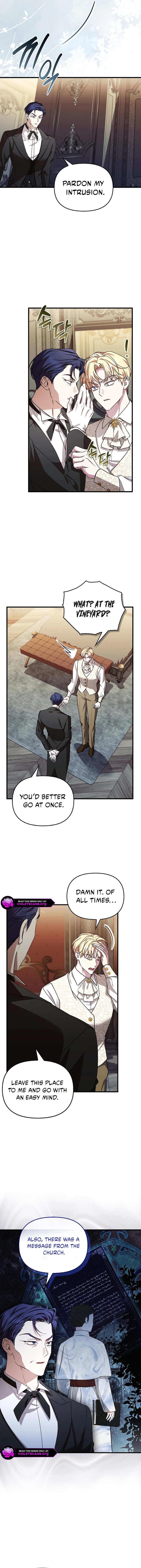 The Countess Makes a Comeback Chapter 29 page 11