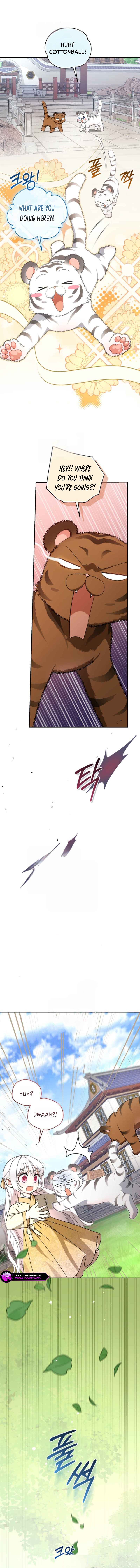 The White Tiger Clan's Little Fluff Chapter 15 page 7