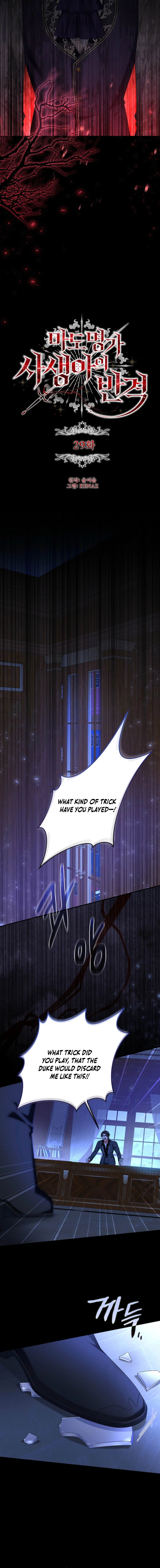 The Bastard's Revenge in the House of Magic Chapter 29 page 6