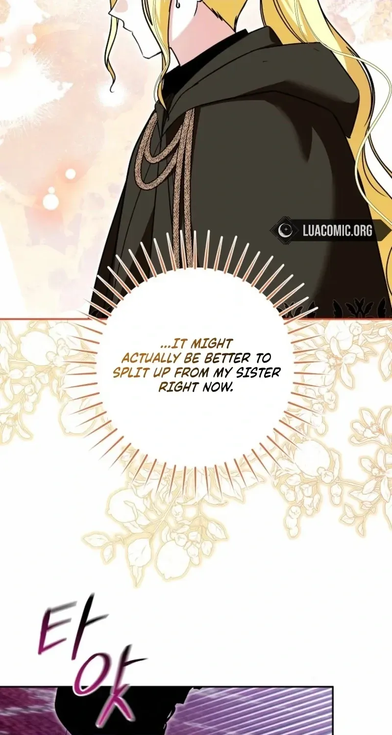 My Older Sister Is the Main Character Chapter 89 page 15