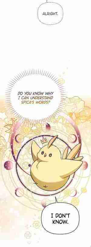 My Older Sister Is the Main Character Chapter 18 page 36