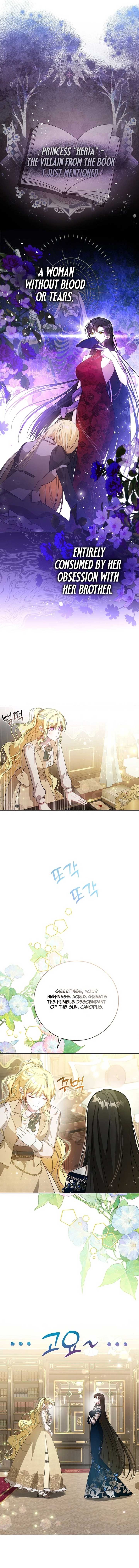 My Older Sister Is the Main Character Chapter 6 page 3
