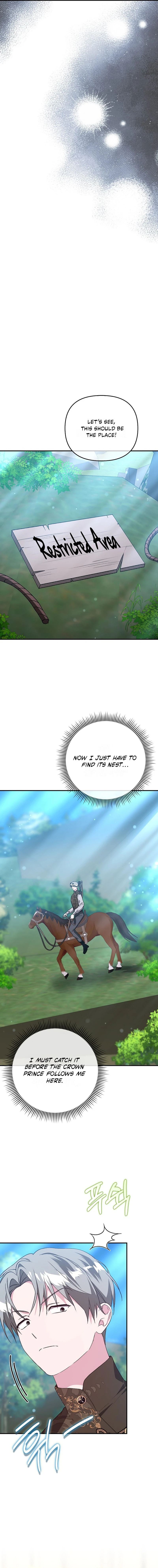 Why Yuria Hid Her Wealth Chapter 47 page 11