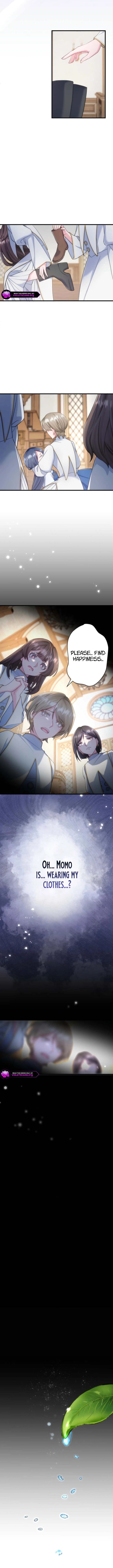 Suterareta Dai Seijo wa Elf Kara Dekiai Sarete Jikoku ni Maimodoru Chapter 4 page 8