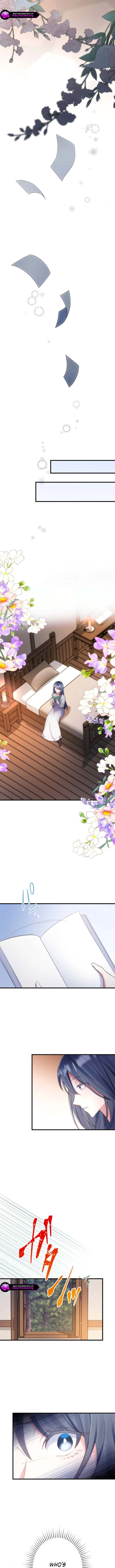 Suterareta Dai Seijo wa Elf Kara Dekiai Sarete Jikoku ni Maimodoru Chapter 9 page 8