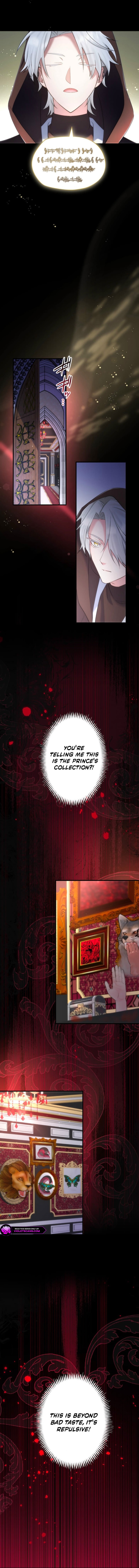 Suterareta Dai Seijo wa Elf Kara Dekiai Sarete Jikoku ni Maimodoru Chapter 10 page 4