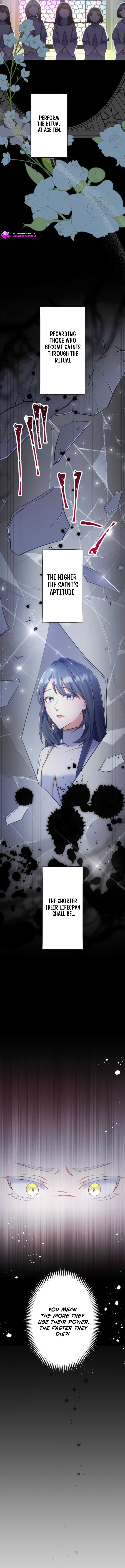 Suterareta Dai Seijo wa Elf Kara Dekiai Sarete Jikoku ni Maimodoru Chapter 10 page 14