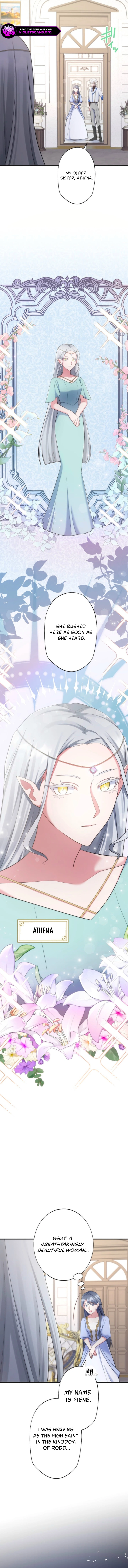 Suterareta Dai Seijo wa Elf Kara Dekiai Sarete Jikoku ni Maimodoru Chapter 13 page 17