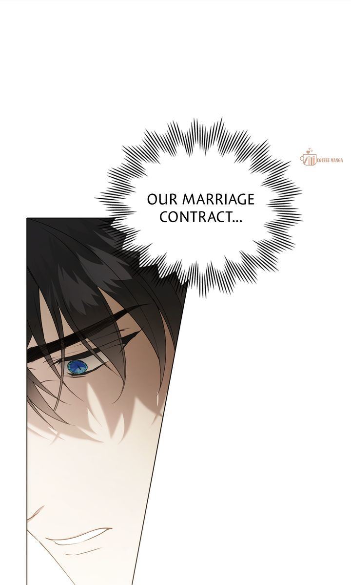 It Was Just a Contractual Marriage Chapter 61 page 63