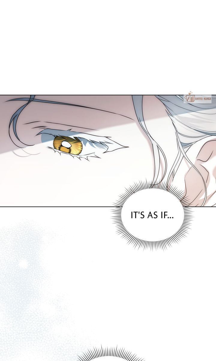 It Was Just a Contractual Marriage Chapter 57 page 34