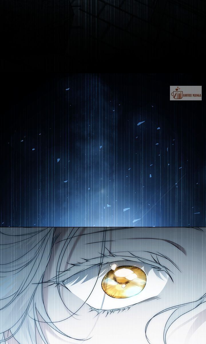 It Was Just a Contractual Marriage Chapter 81 page 81