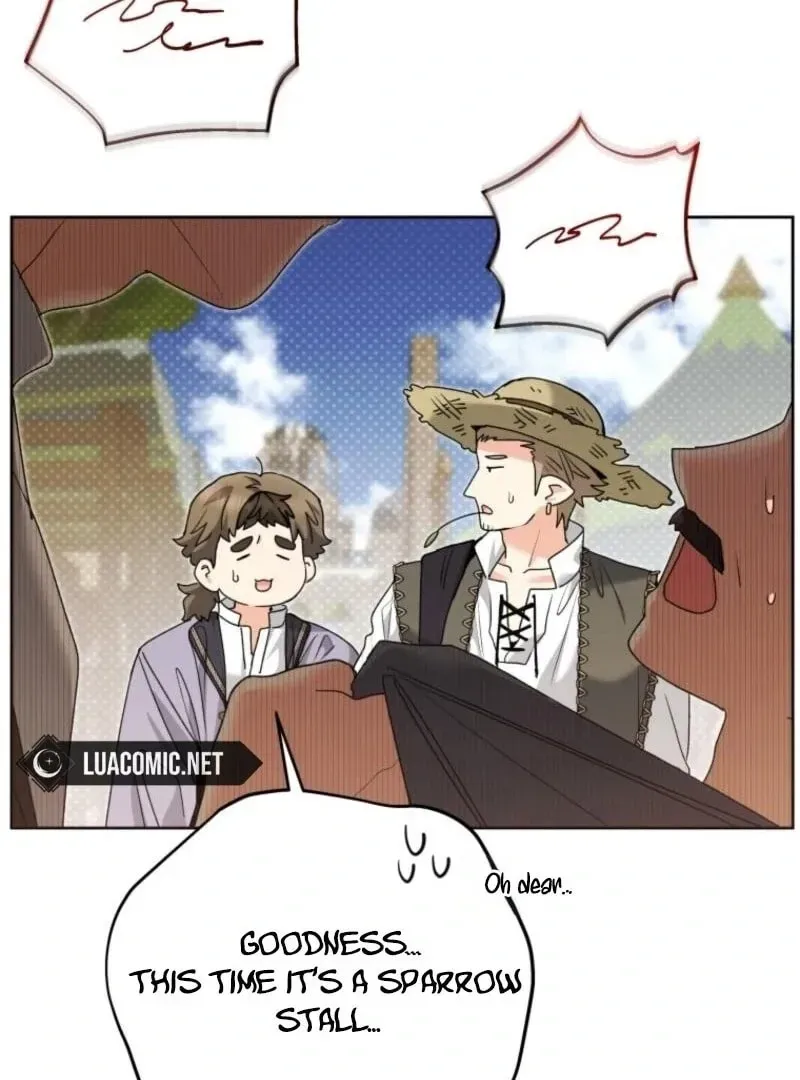 'Cause Calypso Can Chapter 81 page 44