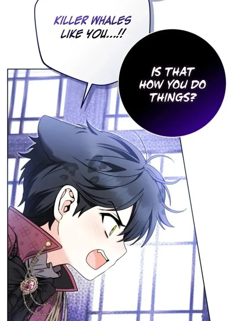 'Cause Calypso Can Chapter 84 page 84