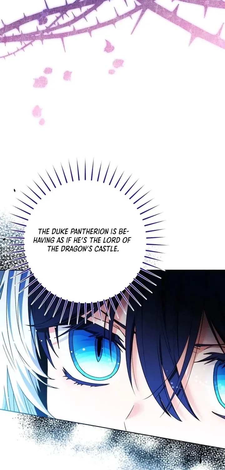 'Cause Calypso Can Chapter 80 page 39