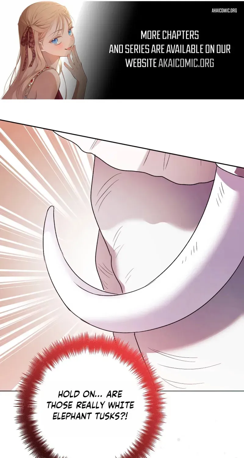 'Cause Calypso Can Chapter 104 page 1