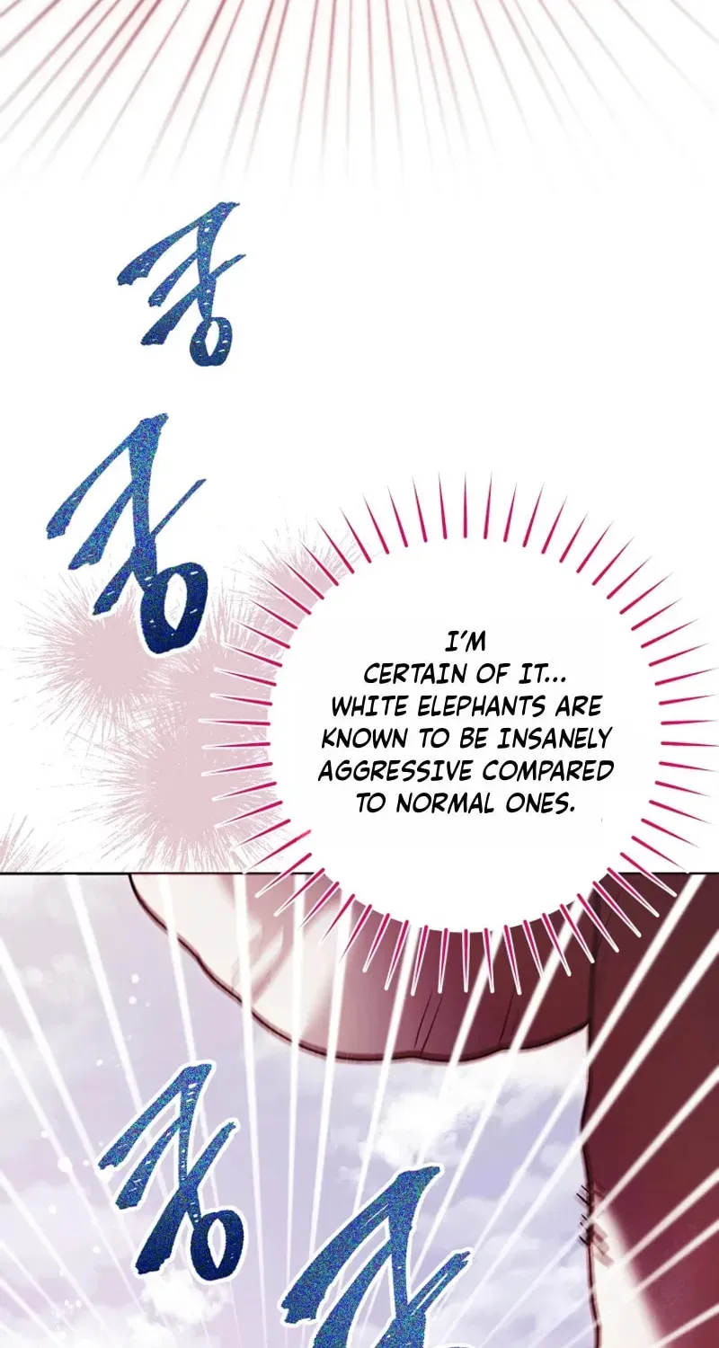 'Cause Calypso Can Chapter 104 page 4