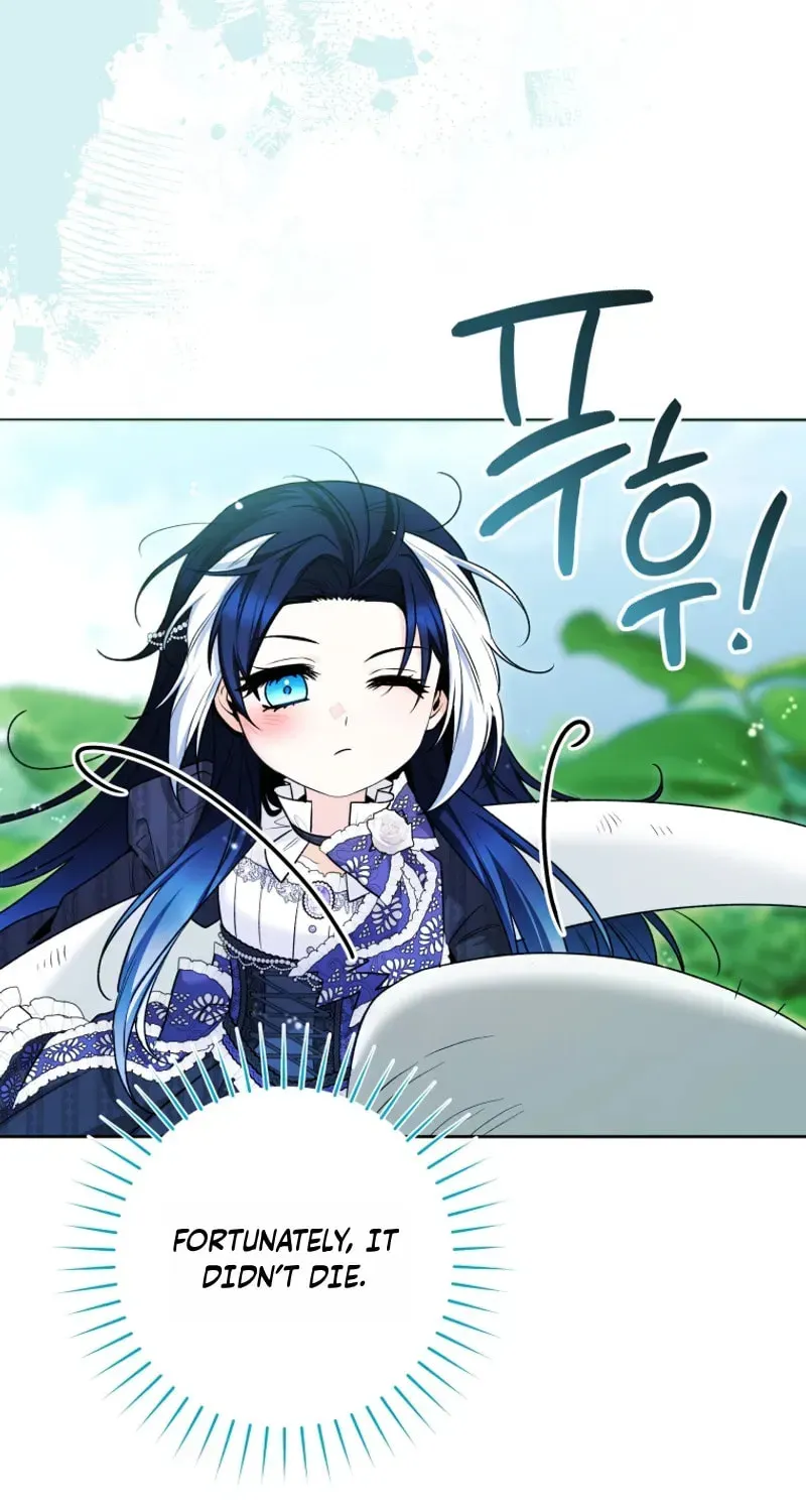 'Cause Calypso Can Chapter 104 page 19