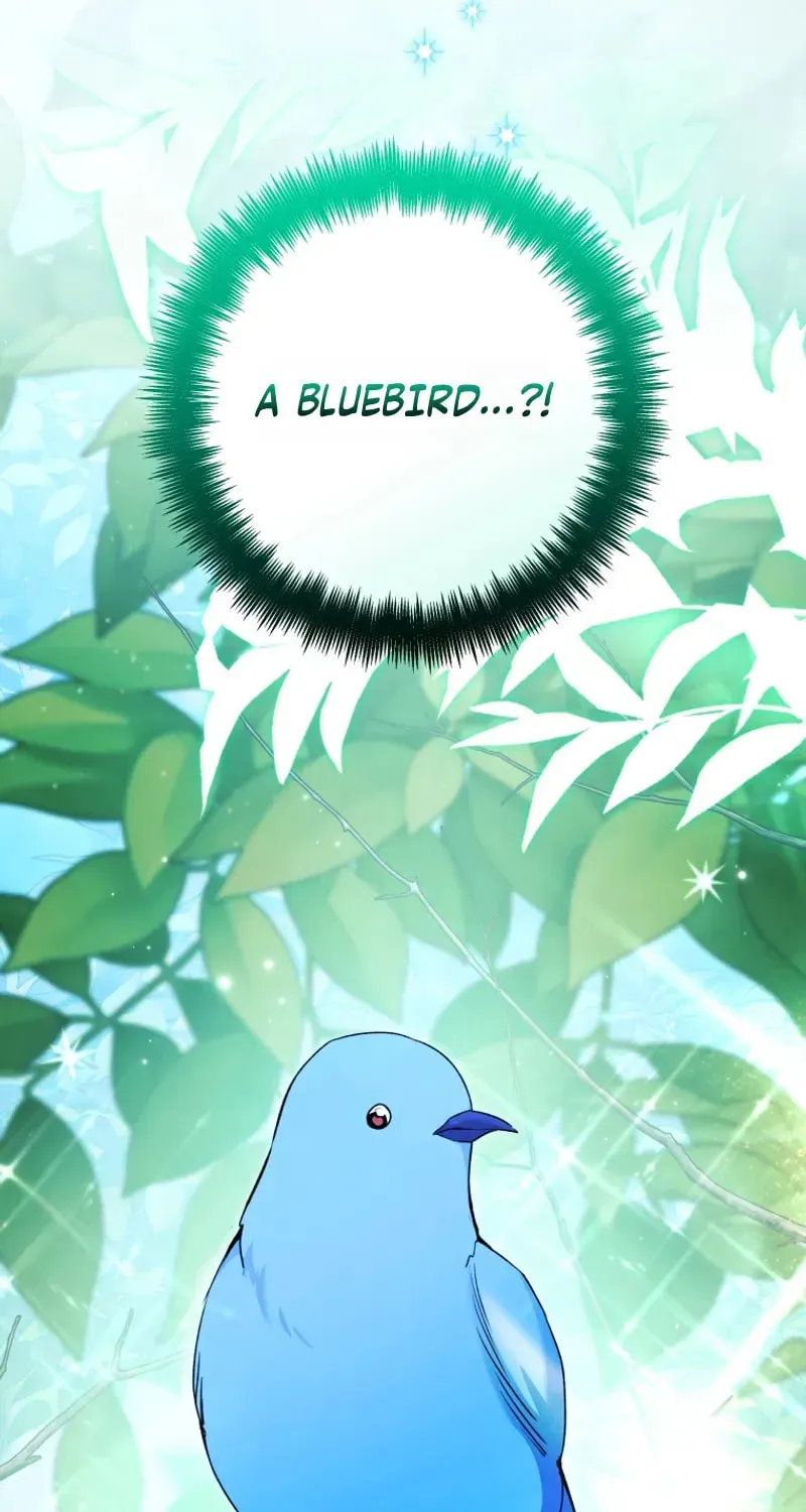 'Cause Calypso Can Chapter 104 page 22