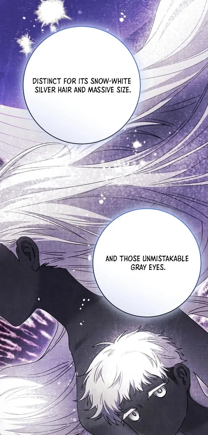 'Cause Calypso Can Chapter 70 page 76