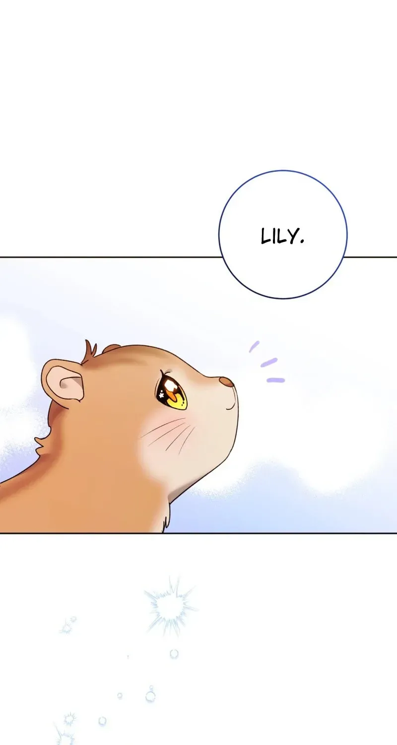 'Cause Calypso Can Chapter 82 page 42