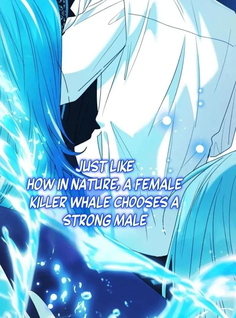 'Cause Calypso Can Chapter 77 page 136