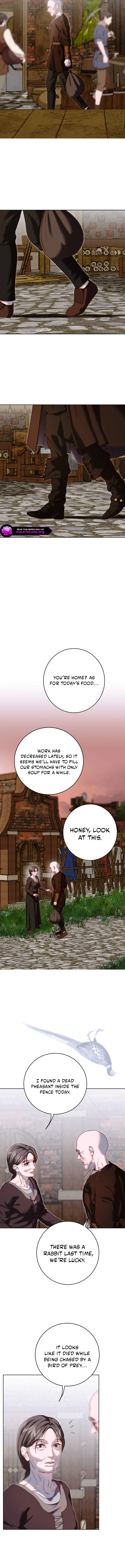 Shards of a Broken Glass Slipper Chapter 32 page 8