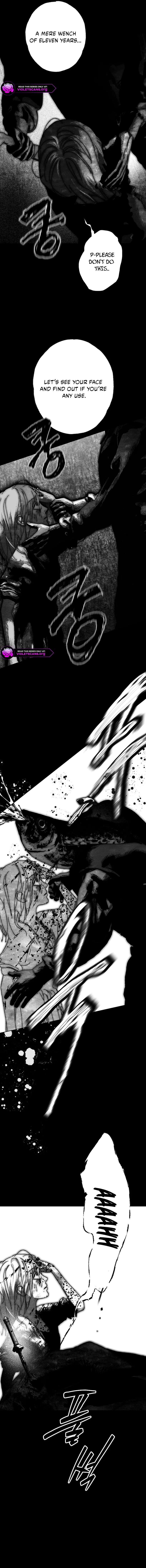Shards of a Broken Glass Slipper Chapter 21 page 15