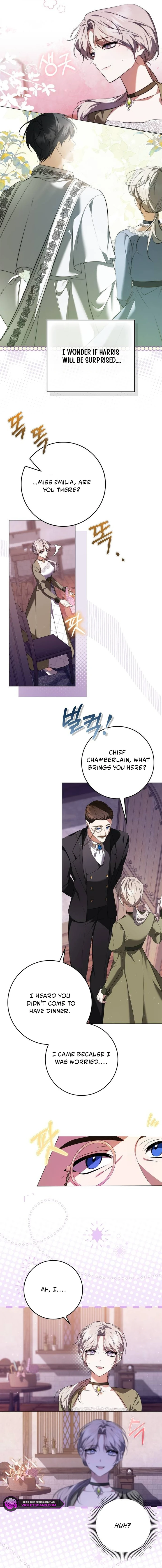His Majesty Is Vexed by His Handmaiden Chapter 11 page 12