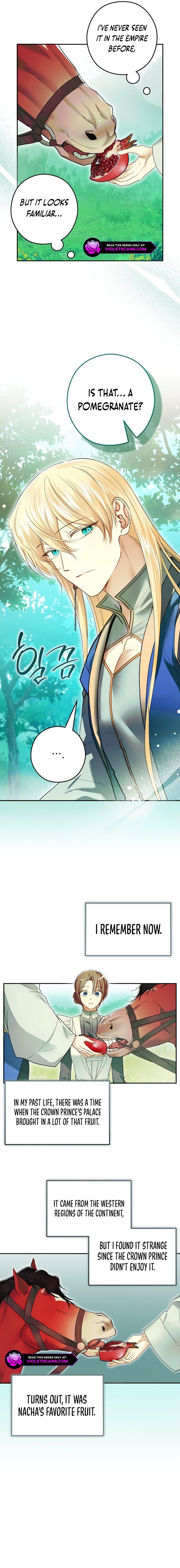The Empire's Maid Chapter 12 page 5